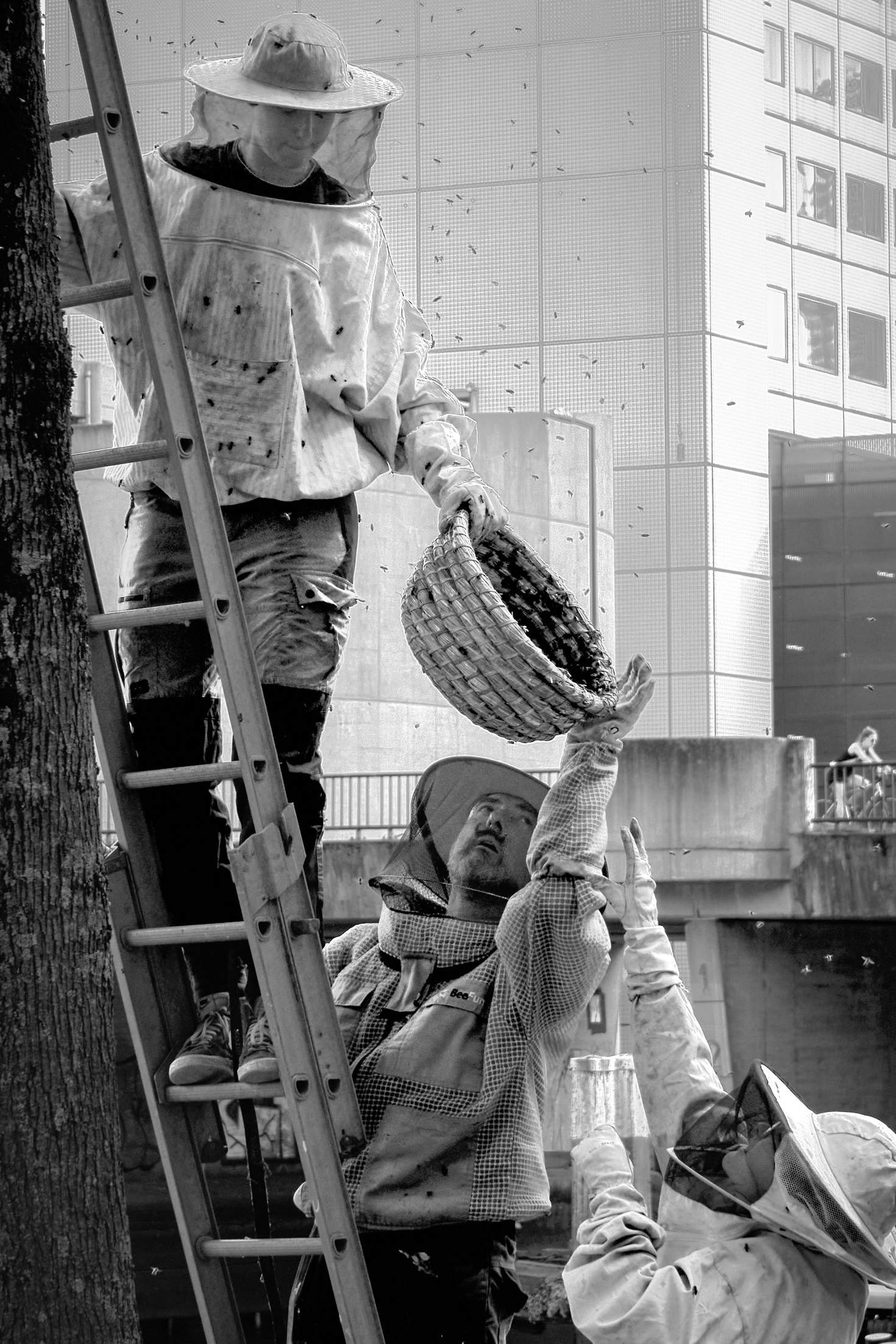 Discovering Croatia Through Its Exotic Honeys