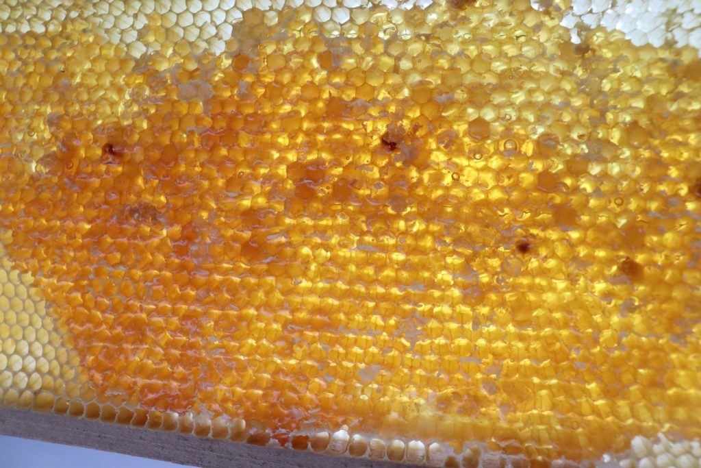 Croatian Wildflower Honey