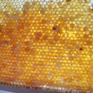 Croatian Wildflower Honey